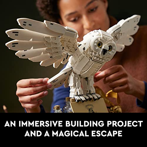 LEGO Harry Potter Hogwarts Icons Collector's Set