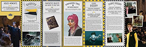 Hufflepuff Magic Artifacts Book - Harry Potter