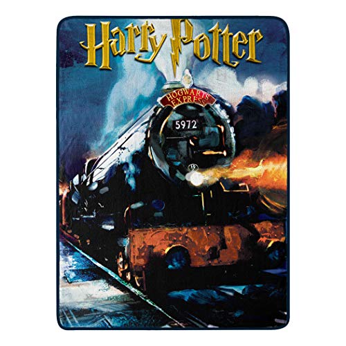 Harry Potter Hogwarts Micro Raschel Throw Blanket