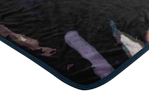 Harry Potter Hogwarts Micro Raschel Throw Blanket