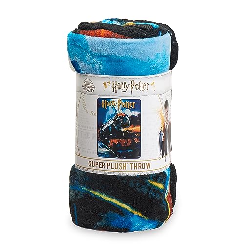 Harry Potter Hogwarts Micro Raschel Throw Blanket