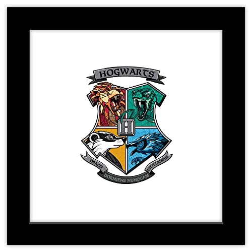 Harry Potter Hogwarts Crest Framed Wall Art 12