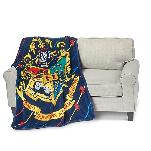 Harry Potter House Pinstripes Micro Raschel Blanket