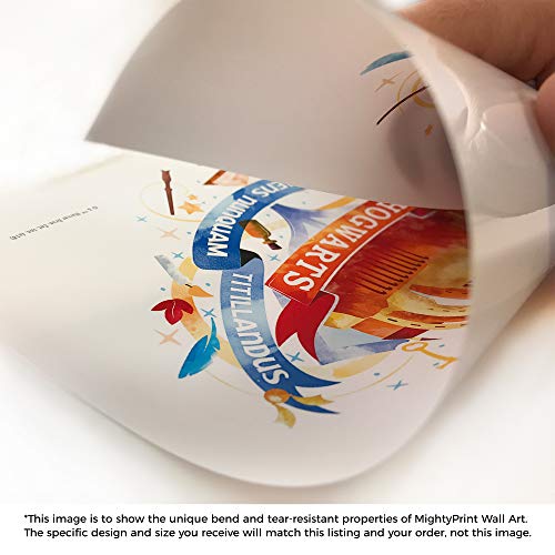 Harry Potter Wand Patterns Wall Art – Official Collectible