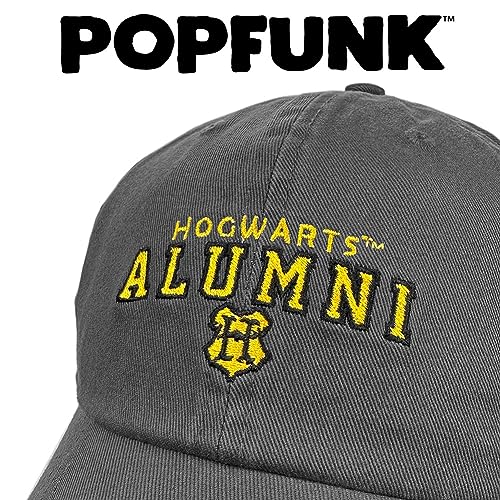 Harry Potter Hogwarts Alumni Dad Hat - U18 Cap, Charcoal