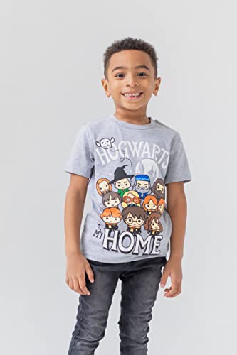 Harry Potter Boys 3-Pack T-Shirts Blue/Grey/Red 18-20