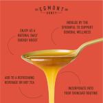 Egmont Raw Manuka Honey MGO 700+ UMF 18+ 8.8oz