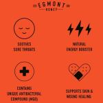 Egmont Manuka Honey UMF 20+ - 8.8 oz