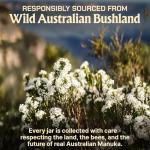 Caramanuka MGO 500 Manuka Honey – 100% Raw