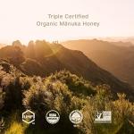 Three Peaks Raw Manuka Honey UMF 10+ (8.8 oz)