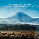 Three Peaks Raw Manuka Honey UMF 10+ (8.8 oz)