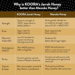 KOORA Raw Jarrah Honey TA 35+ for Immunity