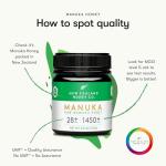 Raw Manuka Honey UMF 28+ | 8.8oz