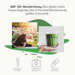 Raw Manuka Honey UMF 28+ | 8.8oz