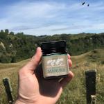 Mason Brothers Raw Manuka Honey MGO 100+ 8.8 oz