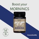 Mason Brothers Raw Manuka Honey MGO 263+ 17.6oz