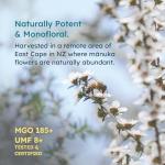 Melora Raw Manuka Honey UMF 15+ 8.8 Oz