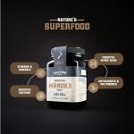 Gold Fern Raw New Zealand Manuka Honey 1.1lb