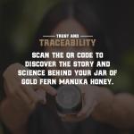 Gold Fern Raw New Zealand Manuka Honey 1.1lb