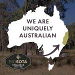 Raw Australian Manuka Honey MGO 1200+ - 8.8oz