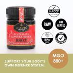 BIOSOTA Organic MGO 800+ Manuka Honey, 8.8oz