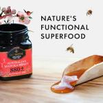 BIOSOTA Organic MGO 800+ Manuka Honey, 8.8oz