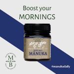 Mason Brothers Raw Manuka Honey MGO 263+ 8.8oz