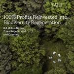 Tahi Raw Manuka Honey UMF 5+ 8.81oz