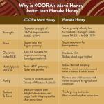 KOORA Low GI Raw Marri Honey TA 25+ 8.8 oz