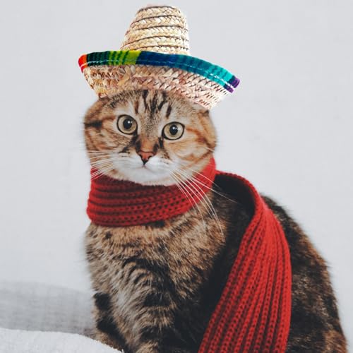 AWOCAN Funny Mexican Sombrero for Small Pets