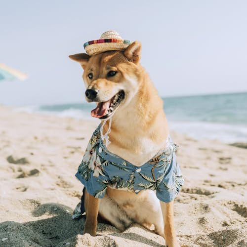 AWOCAN Funny Mexican Sombrero for Small Pets