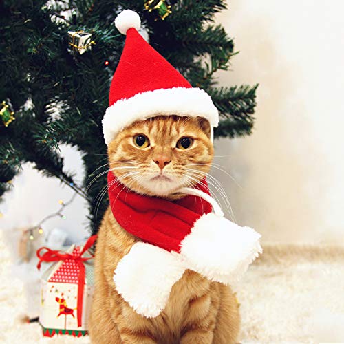 Cat Christmas Hat with Muffler for Pets
