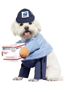 USPS Mail Carrier Dog Costume - Small