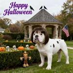 Funny Dog Wig with Adjustable Bands for Costumes