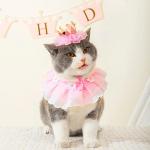 Pink Princess Costume Set for Cats and Dogs