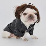 Funny Pet Cosplay Wig for Dogs and Cats