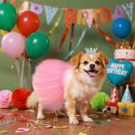 Adorable Tutu Skirt and Pearl Crown Costume Set