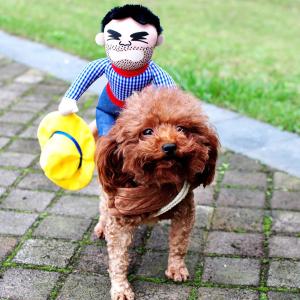 Funny Halloween Dog Costume for Parties