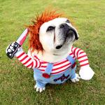 Funny Halloween Dog Costume for Parties