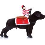 Jockey Dog Costume for Halloween Fun