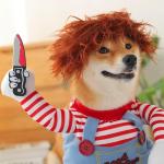 Deadly Doll Chucky Dog Costume for Halloween