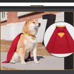 Krypto Superdog Costume Cape for Dogs