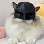 Black Matte Bat Mask for Cats and Dogs