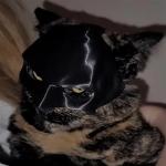 Black Matte Bat Mask for Cats and Dogs