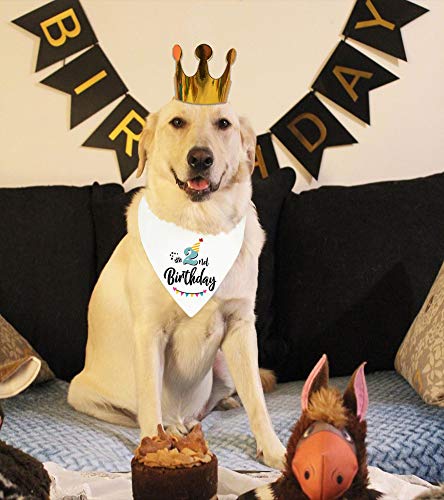 Cute Dog Birthday Bandana and Crown Set
