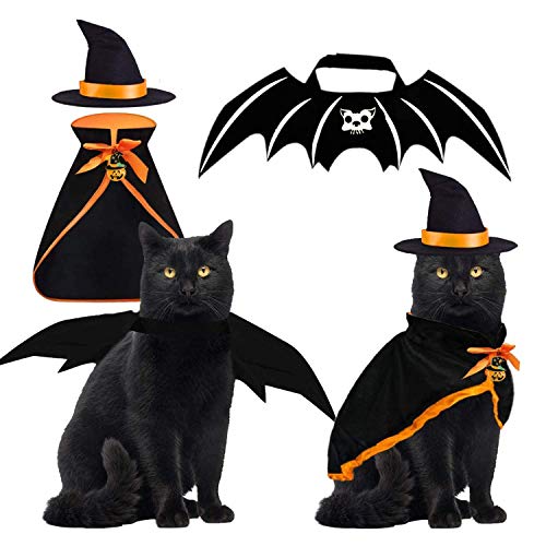Halloween Cat Costume: Bat Wings & Witch Hat