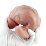 Silicone Mouth Gag Soft Realistic Ball Gag with Harness Belt BDSM Trainer Toy US