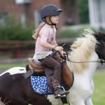 18 Inch Horse Whip, Premium Riding Crop Horse Whip for Equestrian Sports,Black,