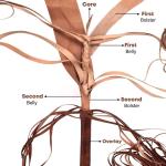 Genuine Leather Bullwhip 4–16 Foot | 16 Plaits Heavy Handcrafted Functional Whip