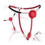 Women Couples Rose Pearl Thong Wearable Panty Vibrator, BDSM Grinding Vibrati...